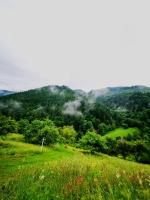 Apuseni Glamping Retreat - B&B