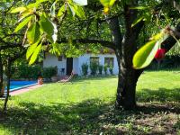 Búzavirág Apartman - B&B Szentbékkálla