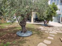 Appartamento con 2 Camere da Letto