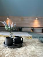 APARTAMENTY Adamcykówka blisko stoku Czorsztyn-Ski! Jacuzzi i Sauna w cenie! - B&B Kluszkowce