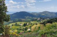 Situation exceptionnelle, villa Labori, luxueuse - B&B Suzette