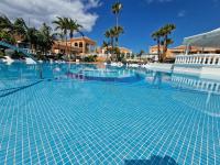 Apartment Playa Las Vistas 2 with breathtaking sea view, only 100 m to the sea, heated pool, aircondition for a fee, wifi - Chambres d'hôtes Playa de las Américas