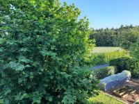 Ferienwohnung Rosi - Bed and Breakfast