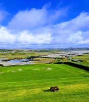 Tidal View - B&B Kincaslough