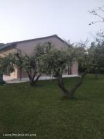 B&B Lucca - L olivo - Bed and Breakfast Lucca