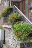 Moselloft Zeltingen-Rachtig - Ferienwohnung Zeltingen-Rachtig