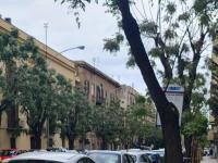 La casa di Minù - Bed and Breakfast Palermo