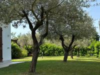 Abitatt - B&B Fosdinovo