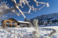 Ferienwohnungen Nachbaur - Bed and Breakfast Oberjoch