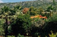 Villa Tropica - Secluded Private Pool, Jungle Garden, Soulful Escape near Split & Trogir - B&B Kutleše