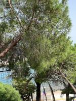 Wine Black Fronte Mare IUN R2882 - B&B