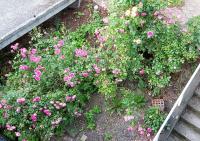 Miya Free parking - Ferienwohnung Sarajevo