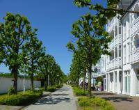 MeerUrlaub 625 SEEPARK Sellin mit BALKON - Bed and Breakfast Sellin