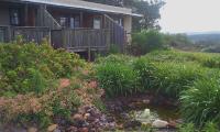 Protea Wilds Retreat - B&B Harkerville
