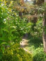 Vila M&D - B&B Divjakë