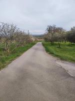 Na Zeleni cesti / On the green road - B&B Dekani