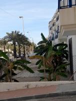 Carboneras, la Mar Divina - B&B Carboneras