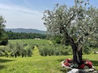 Villa con 2 Camere da Letto