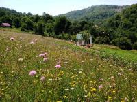 Zelena livada (Green Meadow) - Ferienwohnung