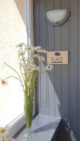 Gîte Au café des marguerites - B&B