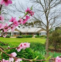 B&B Seppeltsfield - Seppeltsfield Vineyard Retreat - 3 Bedroom Holiday Home - Bed and Breakfast Seppeltsfield