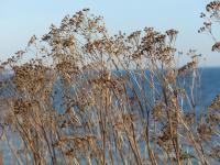 Appartement avec Sauna