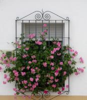 La Casa de Ángela - B&B