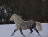 Casa con 1 Camera da Letto