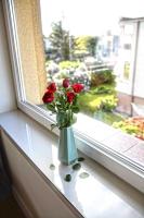 Bursztynek - Ferienwohnung Stegna