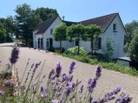 Luxury Guest House - Eik aan de dijk - B&B