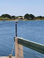 Marina La Plagette RDC appontement XL parking - Chambres d’hôtes Le Grau-du-Roi