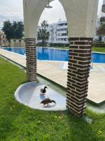 Apartamentos Naciones Playa, La Paloma - B&B Benalmádena