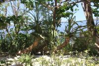 Suite met Balkon