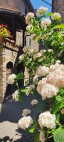 LA CHASCONA DI FARNESE casa di tufo nel borgo - B&B Farnese