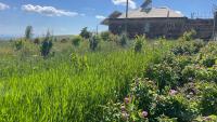 Tooi-Tooi EcoLodge - B&B Krashen