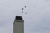 Carraig Nua House - Ferienwohnung Fish Creek