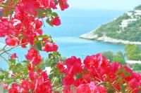 MNS Marvelous Nirvana Seascape, Art - B&B Salamina