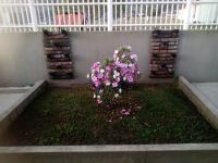 Ramos de Oliveira - Bed and Breakfast Matinhos