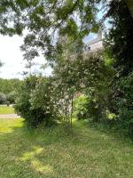 B&B Le Manoir de la Douve - B&B