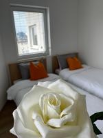 Ariacityview - Ferienwohnung Pristina