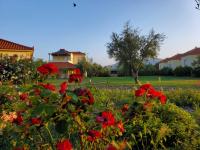 Phyllida Guest House - A1 - Bed and Breakfast Zacháro