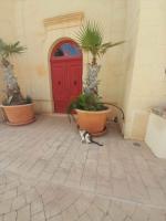 East Breeze Penthouse - Bed and Breakfast Mġarr