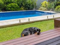 The Doggy Beach House - with Pool in Pottsville - B&B Pottsville