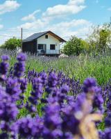 B&B Kalnik - Vacation Home - NEST Kalnik - Bed and Breakfast Kalnik