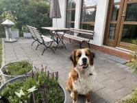 FEWO am See Zarrendorf - B&B