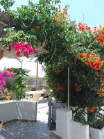 Studio - Rez-de-chaussée