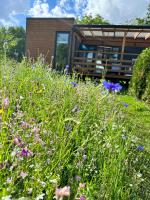 IguHouse - B&B