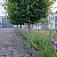 Vakantiewoning De Papendaler - B&B Zutendaal