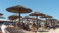 VILLA AVATOS 3 - Near to the port of Rafina and the airport of Athens - B&B Ágios Spyrídonas