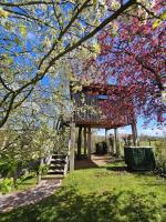 Cabane dans les Arbres - L'Ours Brun